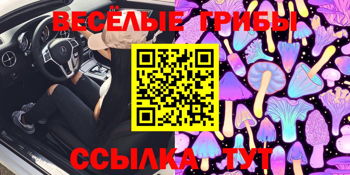 Галлюциногенные грибы мицелий Сергиев Посад
